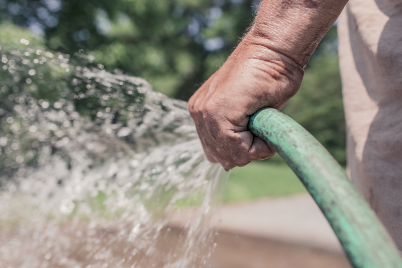 jardinerie-LA GAUDE-min_garden-hose-413684